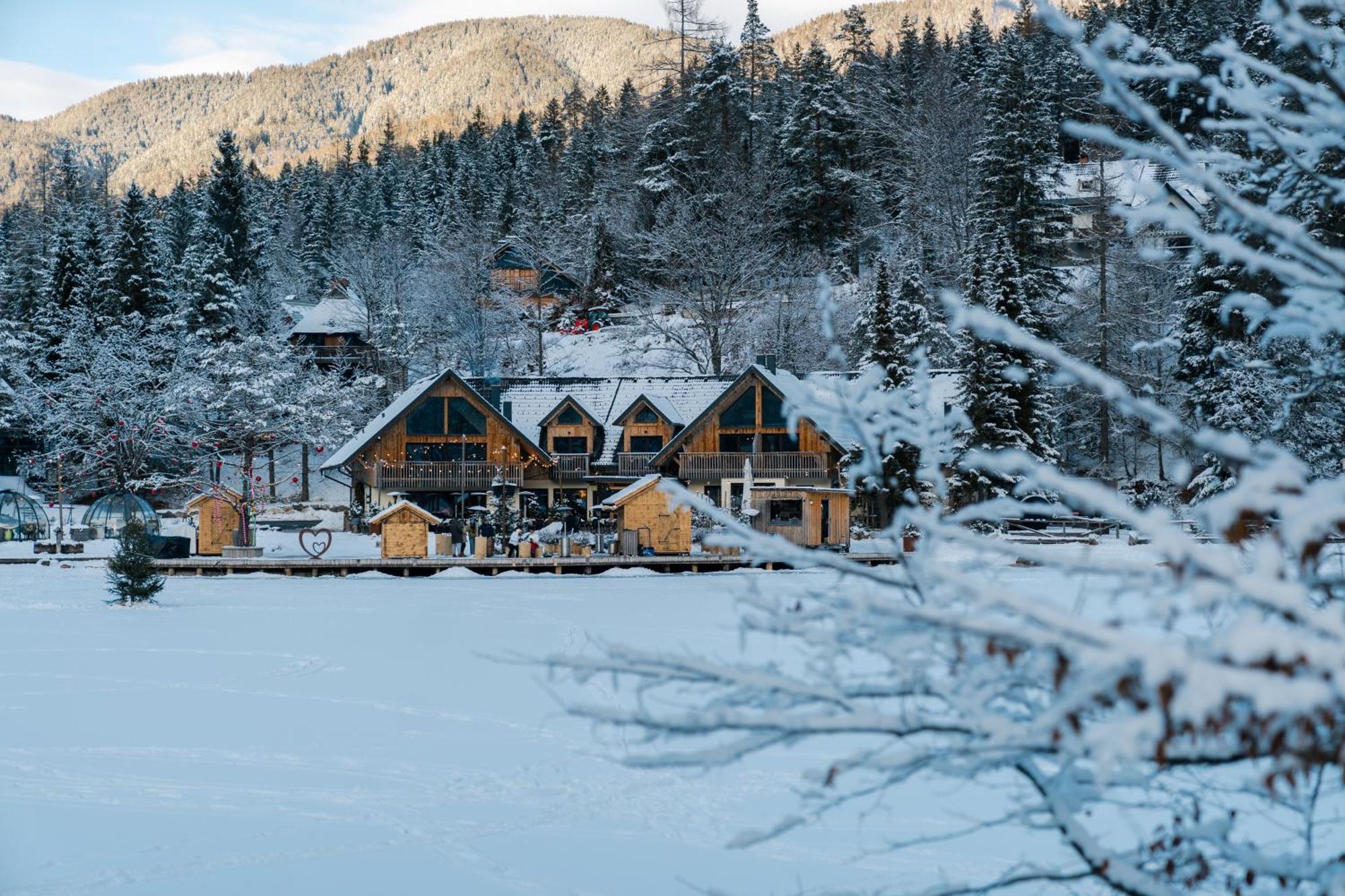 Jasna Chalet Resort Краньска Гора Экстерьер фото